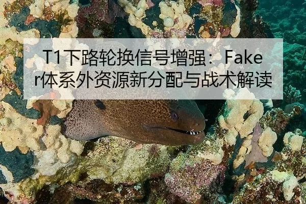T1下路轮换信号增强：Faker体系外资源新分配与战术解读