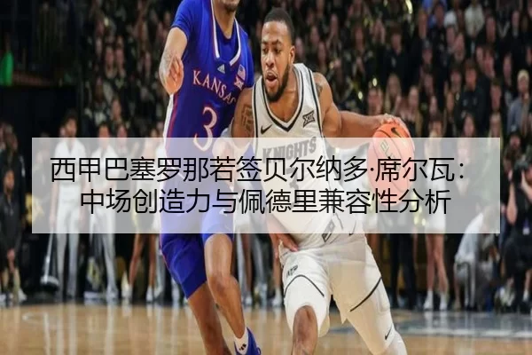 xi-jia-ba-sai-luo-na-ruo-qian-bei-er-na-duo-xi-er-wa-zhong-chang-chuang-zao-li-yu-pei-de-li-jian-rong-xing-fen-xi-2-343.jpg